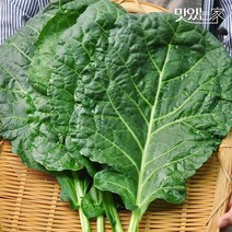 [산지직송]전남 담양 김상식님의 유기농 케일 1~3kg (즙용 케일), 02번 케일 2kg, 상세설명 참조