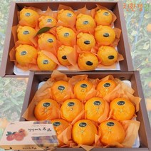 농장직송 제주 서귀포 달콤한 고당도 한라봉 레드향 2kg 3kg 5kg 가정용 과일 선물세트 친환경맘, 한라봉3kg 가정용