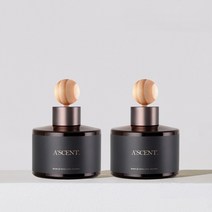 1+1 에이센트 네이처 차량용 디퓨저 방향제 120ml, 07 그린에어리*2
