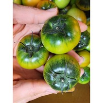 오리지널 고당도 대저짭짤이 토마토 2.5kg, 로얄과 2S~3S 사이즈