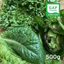 친환경 GAP 유럽샐러드 모듬쌈 모듬채소(그린스팜) 500g, 모듬샐러드 500g, 단품