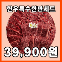 (할인특가)1등급 한우 한판세트 600g 부채살 치마살 업진살 제비추리 특수부위 소고기 구이 1등급 한우 생갈비 국내산 한우 한우선물세트, 1등급한우 등심 특수 한판세트 600g 02, 1개