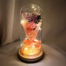 [유앤아이쇼핑] LED 카네이션 꽃 무드등 (소) 핑크 인테리어 조명 2391EA, 달팽이 보금자리 본상품선택