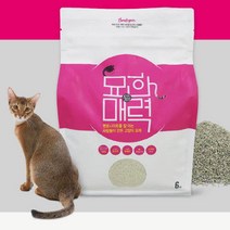 [묘한매력] 100% 국내생산 프리미엄 고양이모래 6kg X 3포, 3개, 6L