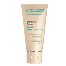 슈라멕 블레미쉬밤 비비크림 40ml, 라이트, 3개