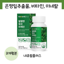 내츄럴플러스 혈앤앤 징코 브레인 은행잎추출물 혈액순환 기억력 비타민 90정, 1개, 90개