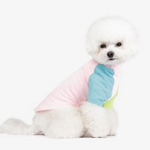 리얼펫 항균가공 소재 포레버 라운드 티셔츠.리얼펫, XL|핑크