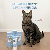 JT 뚜또가또 바르는 덴탈 치약 닭고기맛 치석 0.5511ea, RA_ 1