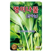 명이나물씨앗 50립 산마늘 씨앗 대장 KS종묘, 1개