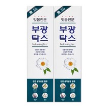 부광약품 잇몸전문 부광탁스 치약 120g X 2개