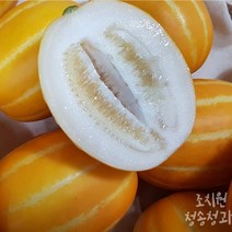 진한향 고당도 특품 콩알 꼬마 성주 꿀 참외 4kg, 대과(가정용)4kg(10-14과)