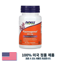나우푸드 피크노제놀 소나무 껍질 추출물 100mg 베지캡슐 60정