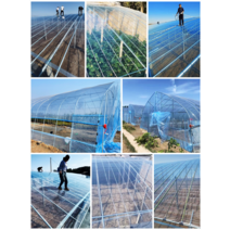 하우스비닐 고탄력비닐 김서림방지 PO필름 온실 플라스틱투명 농업 배양 야채 절연, 필름8s 폭11미터X20미터길이