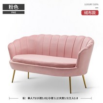 벨벳쇼파 1 2 3인용 거실 의류매장 미용실 소파 거실 작은 아파트 북유럽 심플 모던 라이트 럭셔리 인터넷 연예인 침실 옷가게 더블 심플 게으른 소파, B.소형 더블 1.02미터, A.분홍색