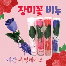 장미비누꽃 장미꽃/장미비누꽃/카네이션비누꽃/장미/로즈데이/어버이날/스승의날, 빈칸3