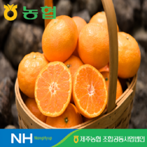 귤로장생 2023 제주 카라향 4kg*1박스, 1