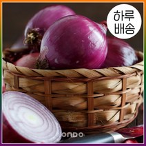 [온도씨] [하루배송]가락시장 적양파 10kg(22년 햇양파), 상세 설명 참조