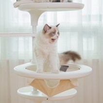 [가또페로] 화이트폴 국산 고양이 변색없는 알루미늄 캣폴 캣타워 고양이가구 하우스, 천 해먹, 아이보리