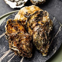 삼배체 굴 석화 3kg 5kg