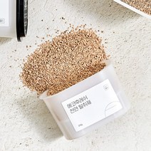 에코후레쉬 냄새 악취 습기제거제, 370g, 1개, 1개, 370g
