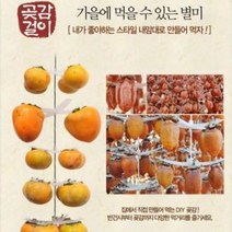 [도매직방] 국내산 DIY 프리미엄 곶감걸이 곶감 100개걸이 행거 꽂이, E곶감걸이/4개걸이 프리미엄(100개용)화이트