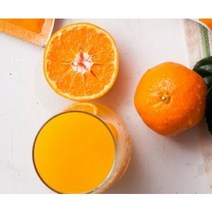 싱싱 제주 감귤즙, 100ml, 50개