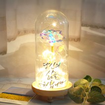 발트728 문구제작 홀로그램장미 기념일 선물 LED유리돔 글라스돔, 큰아이/홀로그램장미/별도문구제작(폰트7)