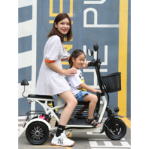 3인승 초경량 전기자전거 통근 등하원 3륜 접이식 자전거, 600W 듀얼전기자전거 20A/50km 3인승