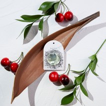 헤카테 퍼퓸 캡슐 방향제 (5개입), 그린플로럴, 1개