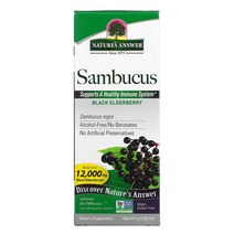 네이쳐스엔서 삼부커스 블랙 엘더베리 12000mg 120ml, One Color, One Size
