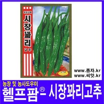 헬프팜 시장꽈리고추 200립 종자 씨앗 동원농산종묘