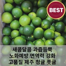 고품질 새콤달콤 과즙 듬뿍 당도높은 제주 서귀포 청귤 풋귤 3kg 5kg 10kg 청귤청 청귤주스, 3kg (A급 고르게), 1개