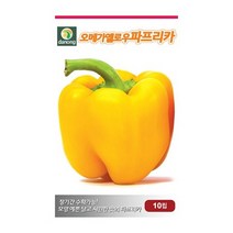 [다농] 오메가옐로우파프리카씨앗 10립[QU]
