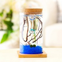 마리모 키우기 LED 유리병(6.5x12.5cm), 상세페이지 참조