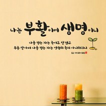 [천삼백케이] [월스토리] 나는생명이니-I, 다크브라운