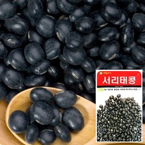 브랜드없음 서리태콩 씨앗 (30g) 채소씨앗 야채씨앗 완두콩씨앗, 단품없음
