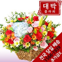대박플라워 늘고마워 꽃바구니 생일선물 기념일 출산꽃선물 병문안 꽃배달