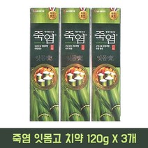 LG생활건강 죽염 잇몸고 치약 120gX3개, 3개, 120g