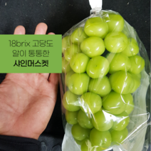 [재구매 1위] 고당도 선별 샤인머스켓, 특상품 2kg