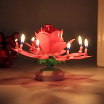 촛불멜로디연꽃초, 14촛불:핑크