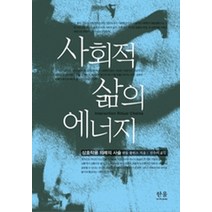 사회적 삶의 에너지:상호작용 의례의 사슬, 한울아카데미, 랜들 콜린스 저/진수미 역