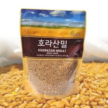 카무트라 불리는 슈퍼곡물 고대곡물 호라산밀 1kg, 1개