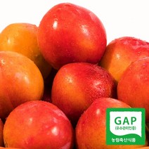 경북의성 노지 자두 2kg(1kgx2팩)/도담(중과)