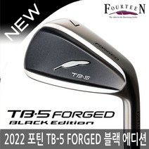 기타 FOURTEEN 포틴 TB-5 FORGED 블랙에디션 스틸 5아이언 2022/병행, 스틸 5아이언(6-PW)-R
