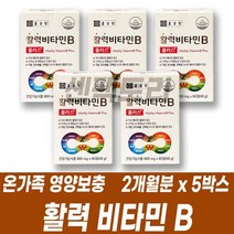 활력충전 비타민B군 8종 복합 건강기능식품 수용성 비타밈 엽산 판토텐산 나이아신 비오틴 업산 니아신 바이오틴