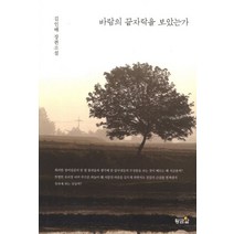 바람의 끝자락을 보았는가:김인배 장편소설, 황금알, 김인배 저
