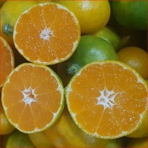 이든 노지감귤 5kg (소) 제주조생귤 노지감귤 황금향 천혜향 한라봉 레드키위 노지감귤 조생귤 부모님 친지 지인 선물 대량주문, 단품