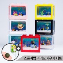 올블루 스폰지밥 마리모 키우기 세트 마리모세트