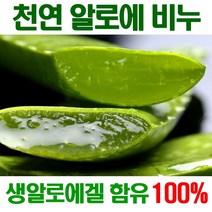 [진짜 알로에 비누] 100% 생 알로에 악건성 고 보습 세안 올인원 비누 민감성 모낭염 천연 수제 여드름 세수비누 각질제거 건성비누 추천 yb맘, 8개, 100mg