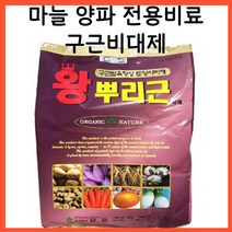 왕뿌리근 복합비료 구근비대제 마늘비료 양파비료 2kg 마늘전용비료 양파전용비료, 왕뿌리근 2kg 1포, 1개